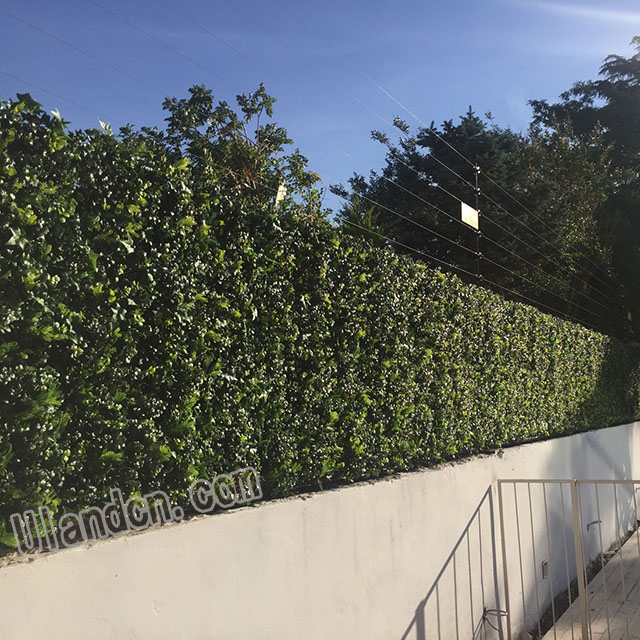 仿真植物墻廠家,優(yōu)蘭德!