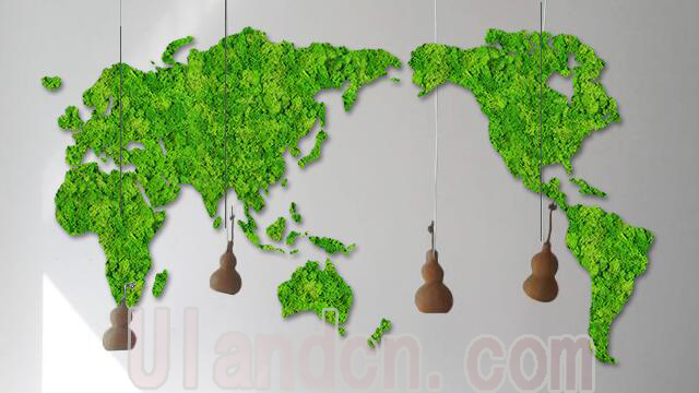 永生苔蘚植物墻廠家，優(yōu)蘭德。