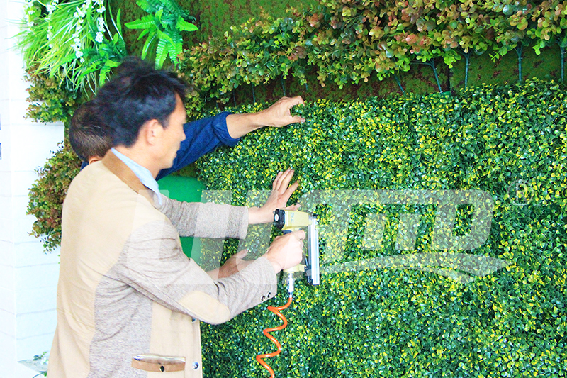 室內仿真植物墻